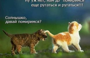 На монтессори напали в сети